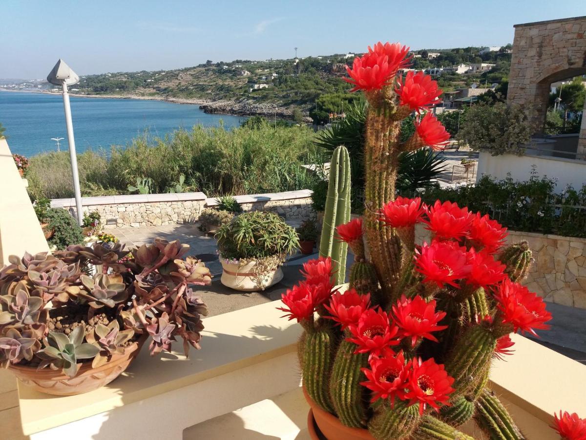 Appartamenti Baia Azzurra Santa Maria di Leuca Esterno foto