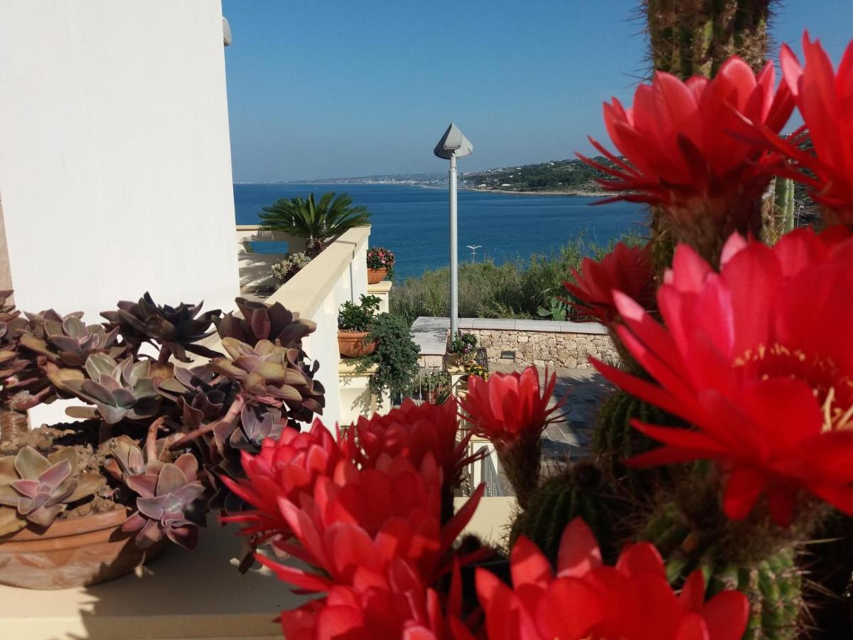 Appartamenti Baia Azzurra Santa Maria di Leuca Esterno foto
