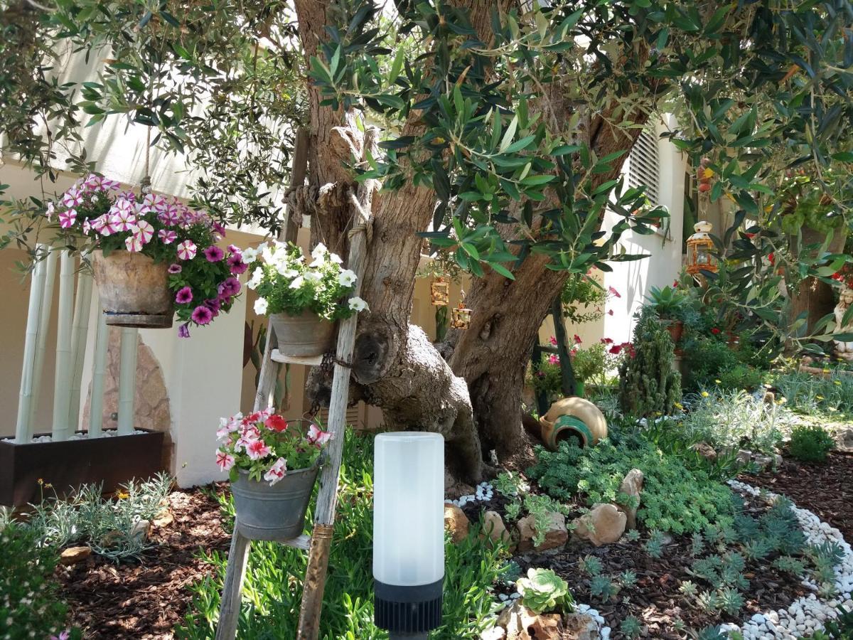 Appartamenti Baia Azzurra Santa Maria di Leuca Esterno foto